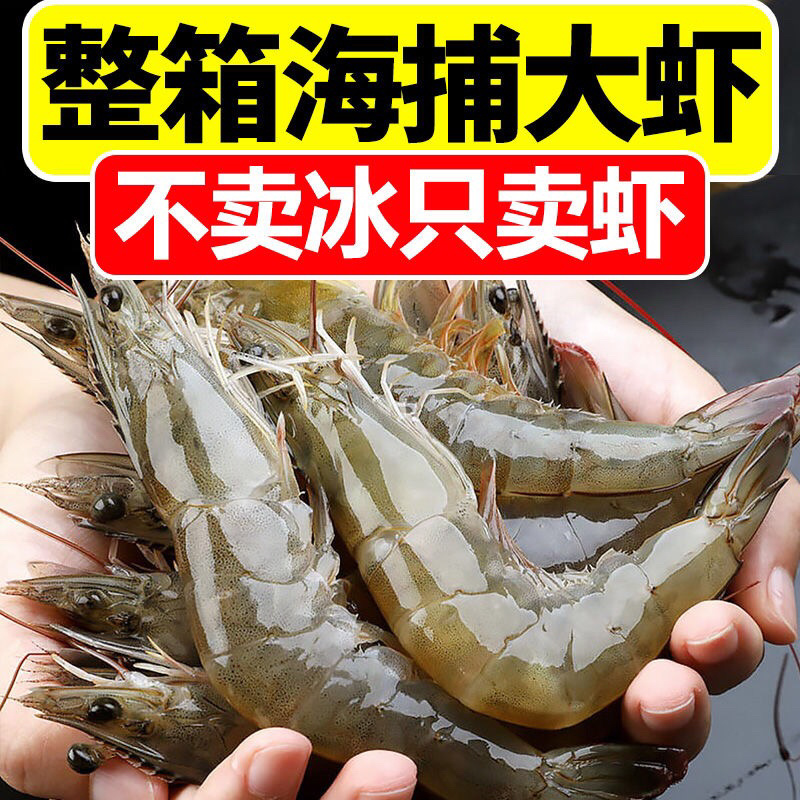 海捕整箱大虾超大虾鲜活海捕冻虾海鲜水产基围虾白虾青虾