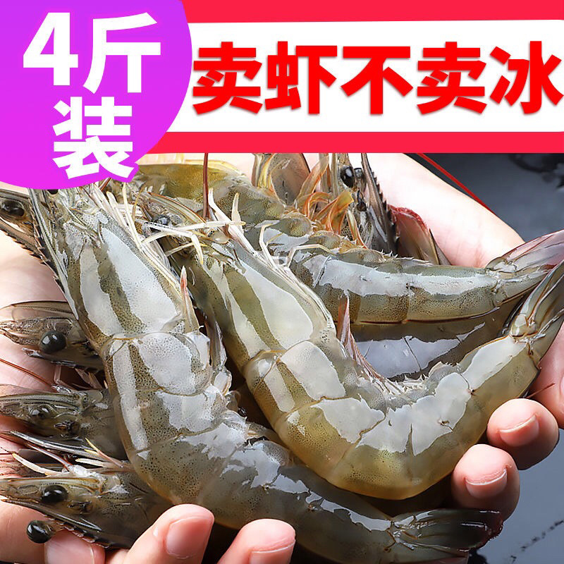 海捕整箱大虾超大虾鲜活海捕冻虾海鲜水产基围虾白虾青虾