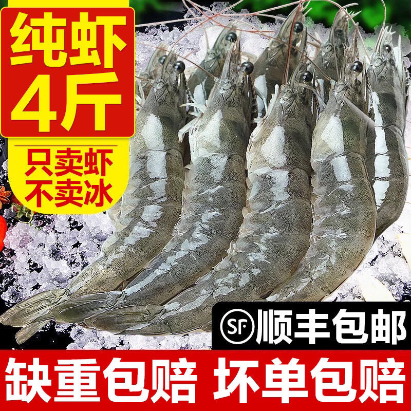 海捕整箱大虾超大虾鲜活海捕冻虾海鲜水产基围虾白虾青虾