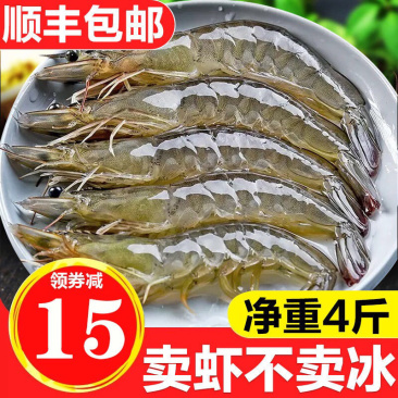 海捕整箱大虾超大虾鲜活海捕冻虾海鲜水产基围虾白虾青虾