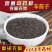 车前子江西车前籽野生车前子茶车前实车前草籽子露包邮