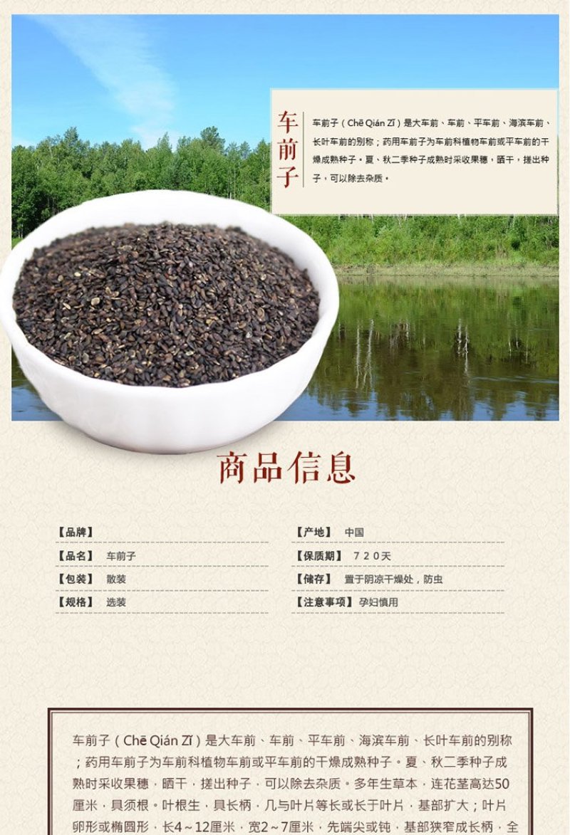 车前子江西车前籽野生车前子茶车前实车前草籽子露包邮
