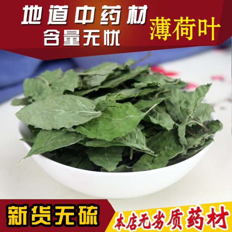 薄荷薄荷叶茶新鲜干薄荷叶清凉饮可配清热去火茶包邮