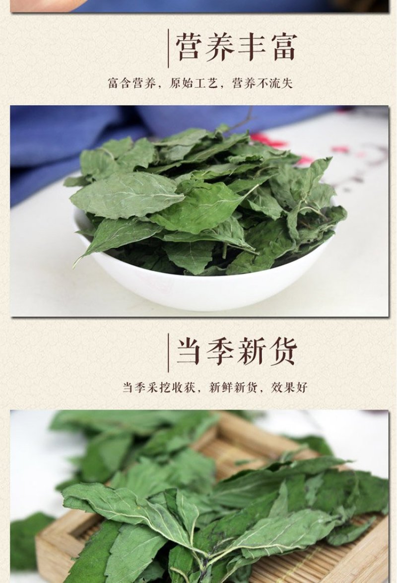 薄荷薄荷叶茶新鲜干薄荷叶清凉饮可配清热去火茶包邮
