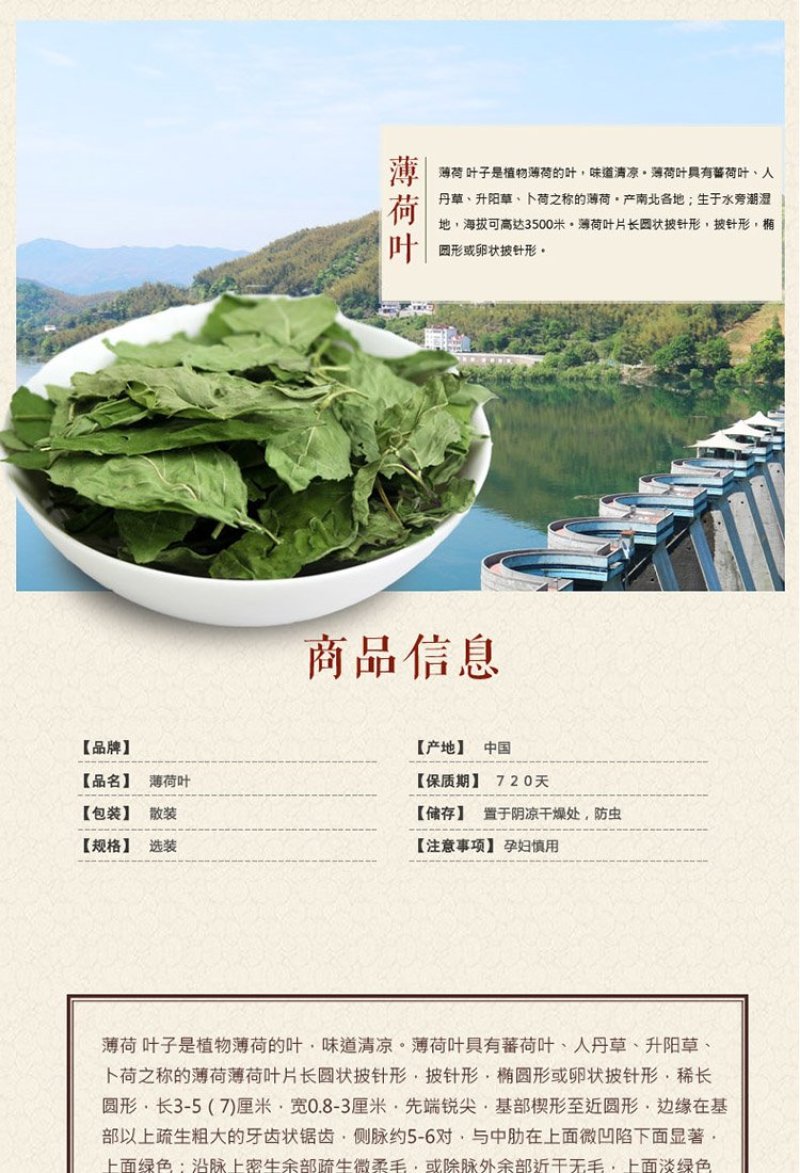 薄荷薄荷叶茶新鲜干薄荷叶清凉饮可配清热去火茶包邮