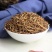 龙胆草中药材龙胆草龙胆草杆非根包邮子露生物科技