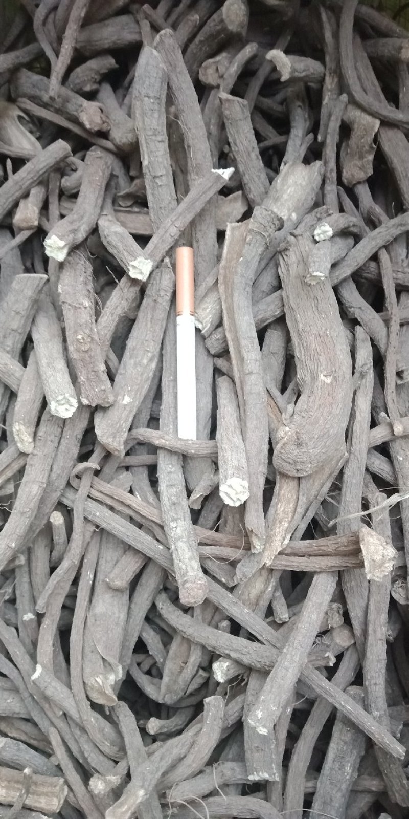 【推荐】土木香大货，精选条子，药厂统货，片子