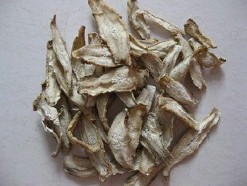 牛蒡根，常年批发供应药食两用，牛蒡根