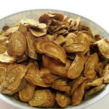 牛蒡根，常年批发供应药食两用，牛蒡根