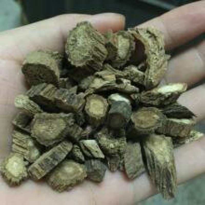 牛蒡根，常年批发供应药食两用，牛蒡根