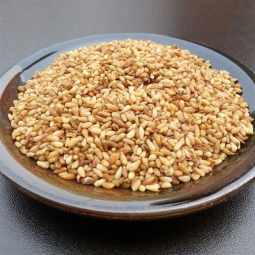 柏子仁，常年批发供应柏子仁中药材，山东货