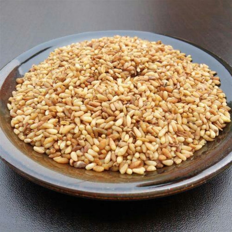 柏子仁，常年批发供应柏子仁中药材，山东货