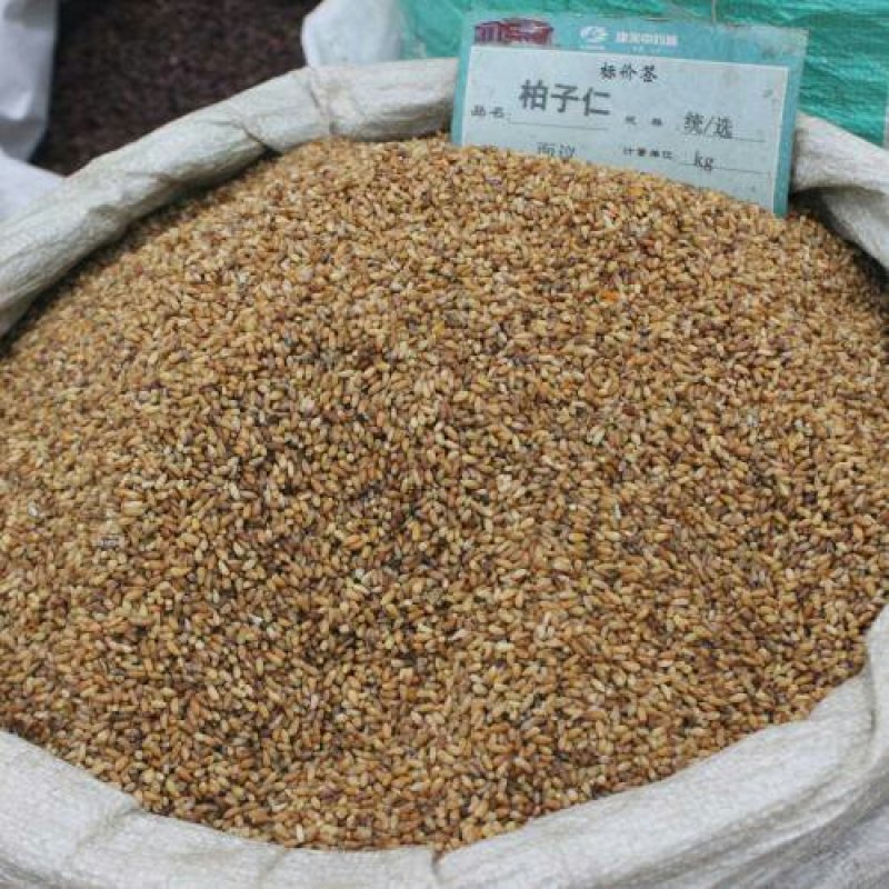 柏子仁，常年批发供应柏子仁中药材，山东货