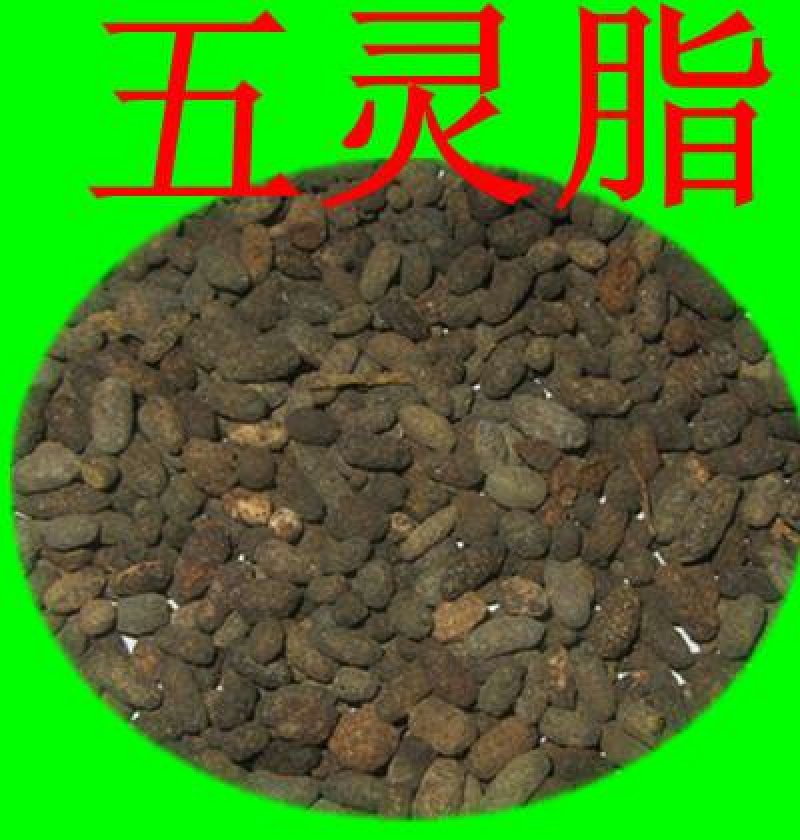 五灵脂，常年批发供应，中药材五灵脂，正品