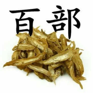 百部，常年批发供应中药材，各种规格百部