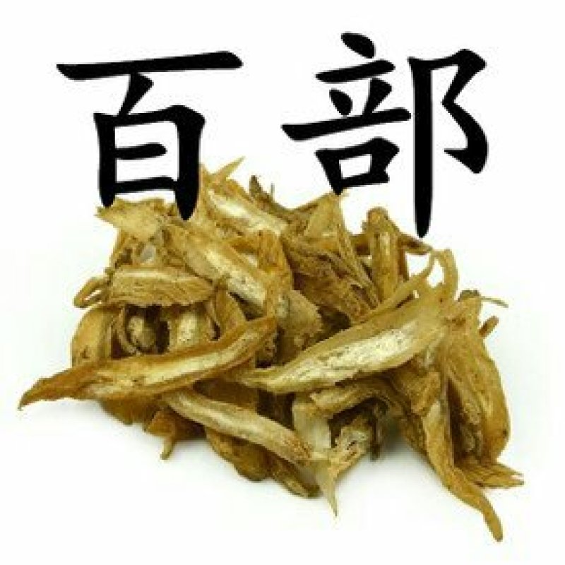 百部，常年批发供应中药材，各种规格百部