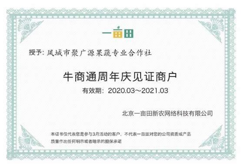 丹东九九草莓红颜草莓，车间分拣，粉白定果〔基地直供〕