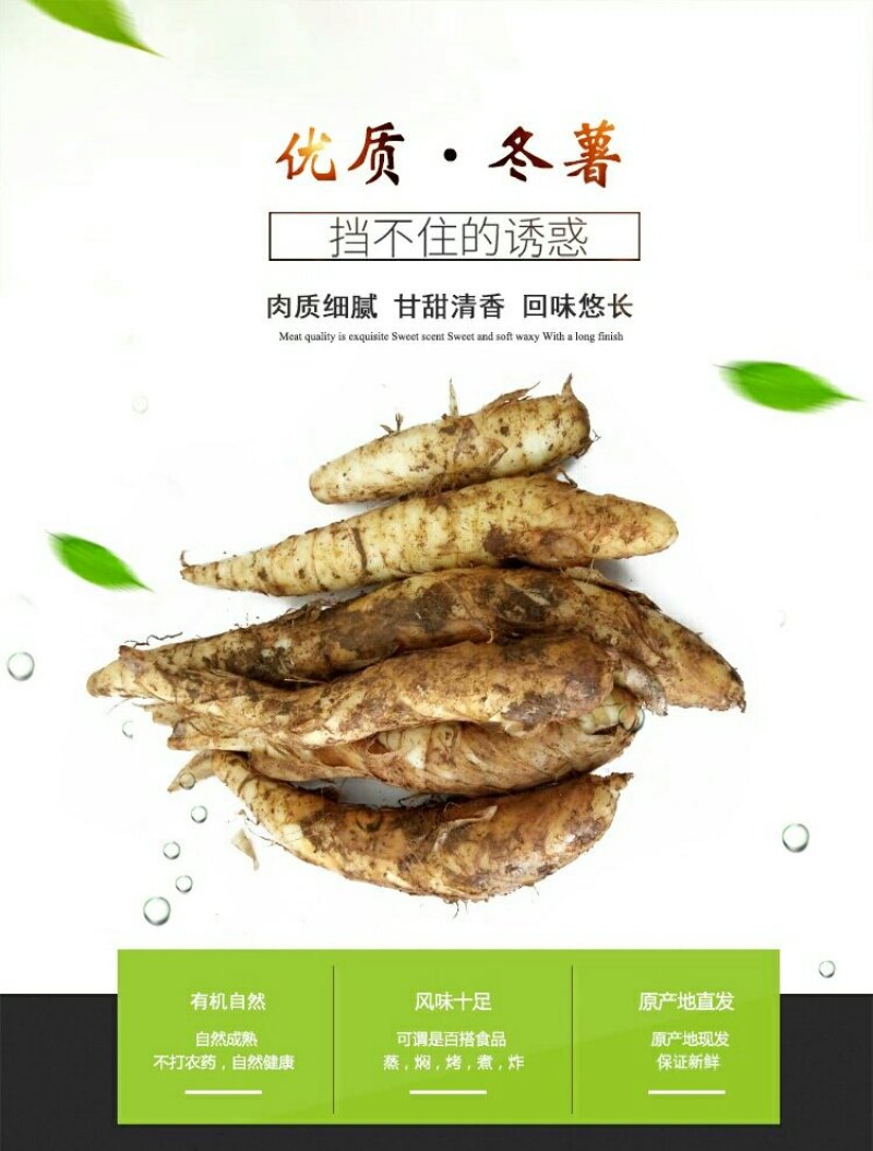 竹竽干/片自家生晒加工生产