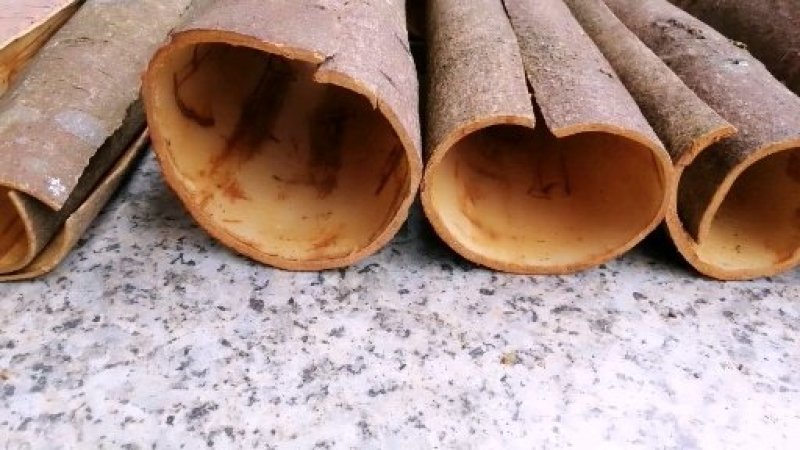 广西无琉野生桂皮桂板桂筒桂碎