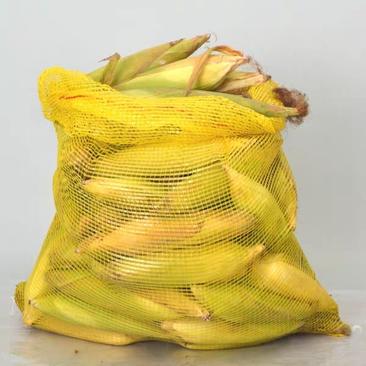 厂家直销大量批发各种规格加密网眼袋玉米土豆蔬菜水果核桃袋