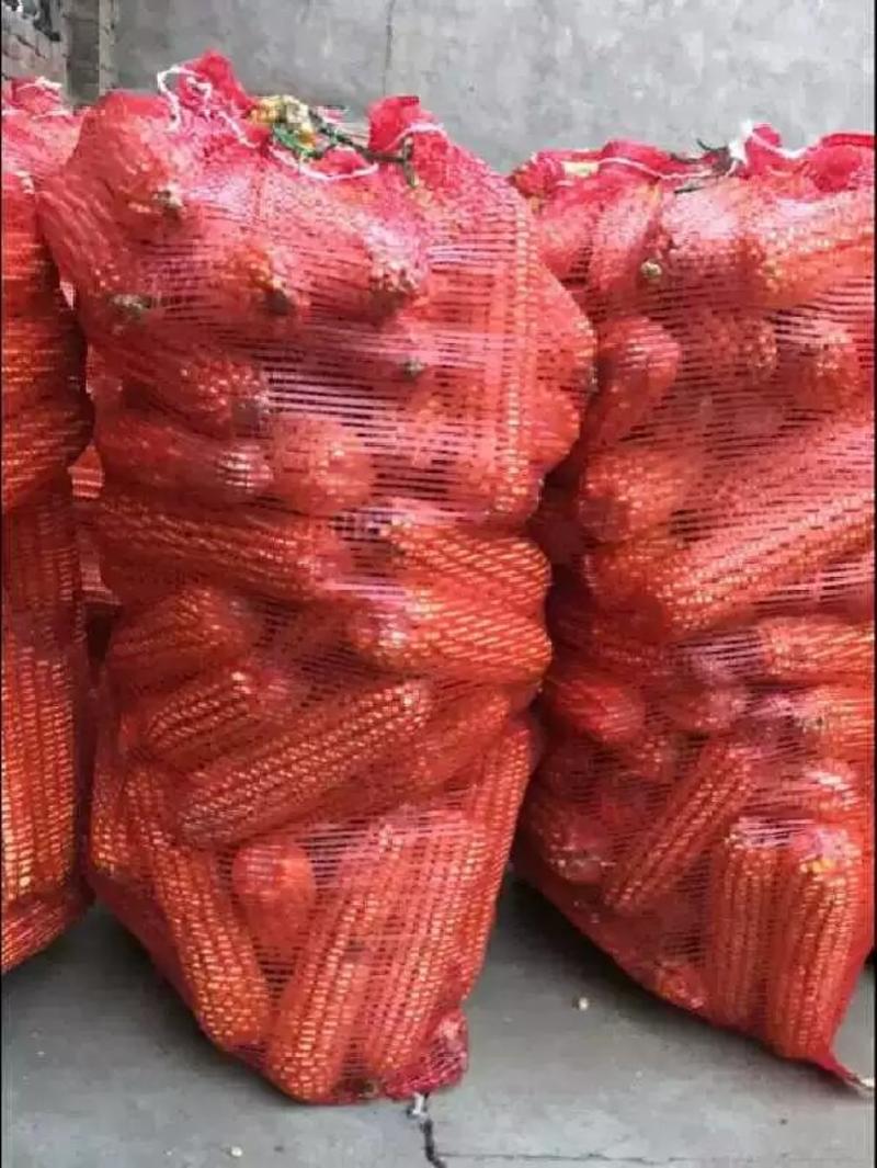 厂家直销大量批发各种规格加密网眼袋玉米土豆蔬菜水果核桃袋