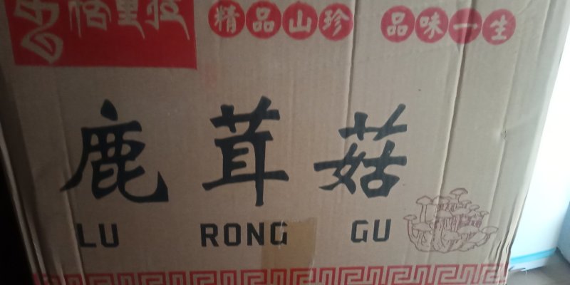 全国包邮精品云南野生菌鹿茸菇清脆爽口