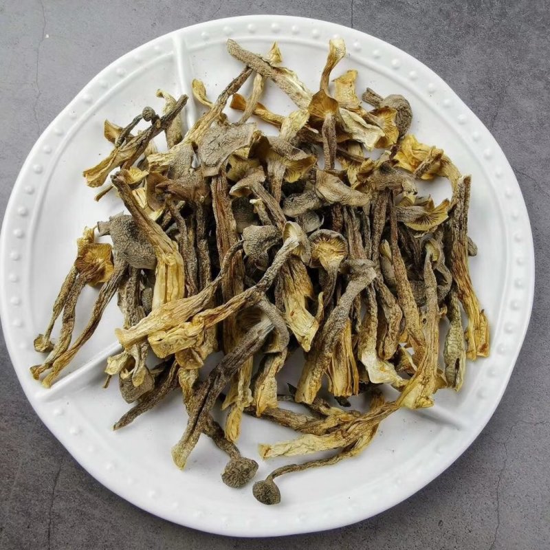 全国包邮精品云南野生菌鹿茸菇清脆爽口