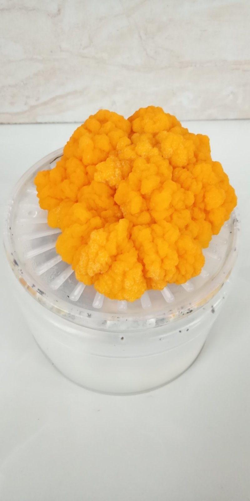 一件代发云南精品食用菌野生菌鲜货段木金耳