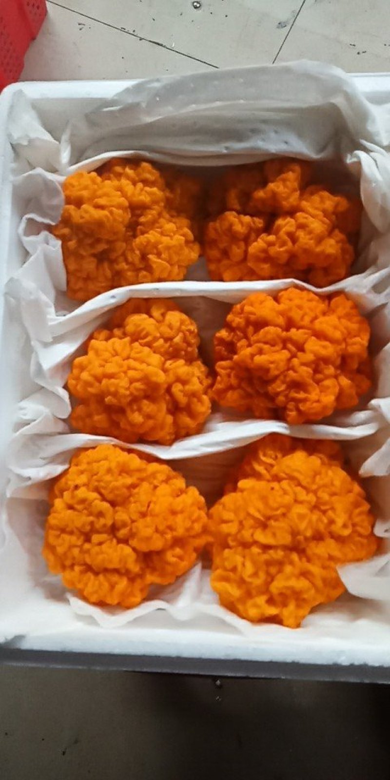 一件代发云南精品食用菌野生菌鲜货段木金耳