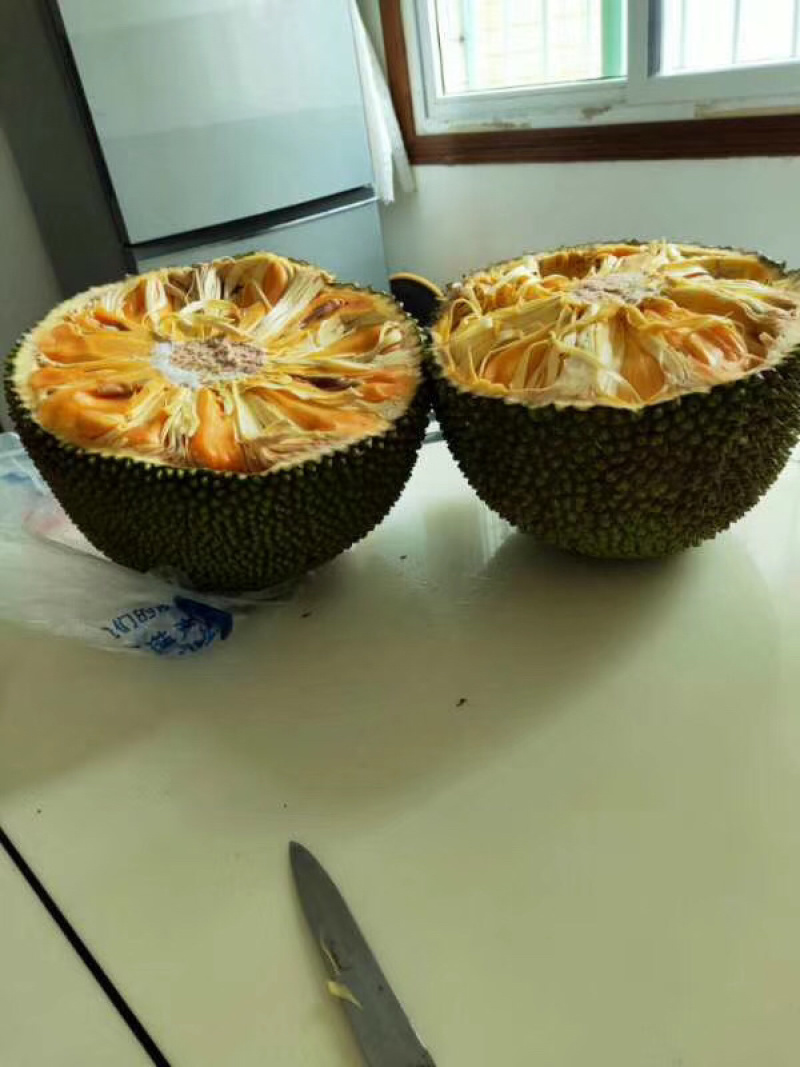 红肉菠萝蜜