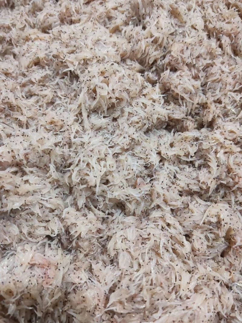 虾粉原料鲜度佳虾酱原料，养殖虾饲料虾天然网捕