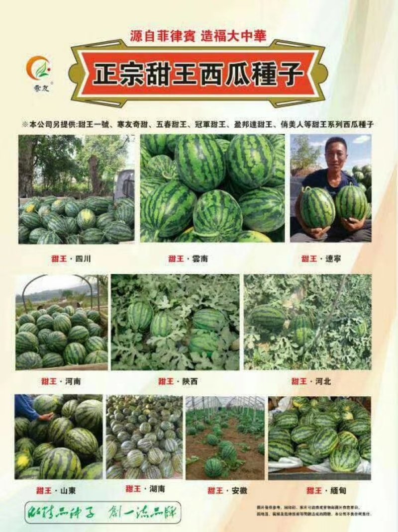 甜王0号西瓜种子早熟，0号甜王，皮薄不裂果，包邮