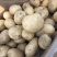 云南精品土豆丽薯6号产地直供一手货源支持线上交易