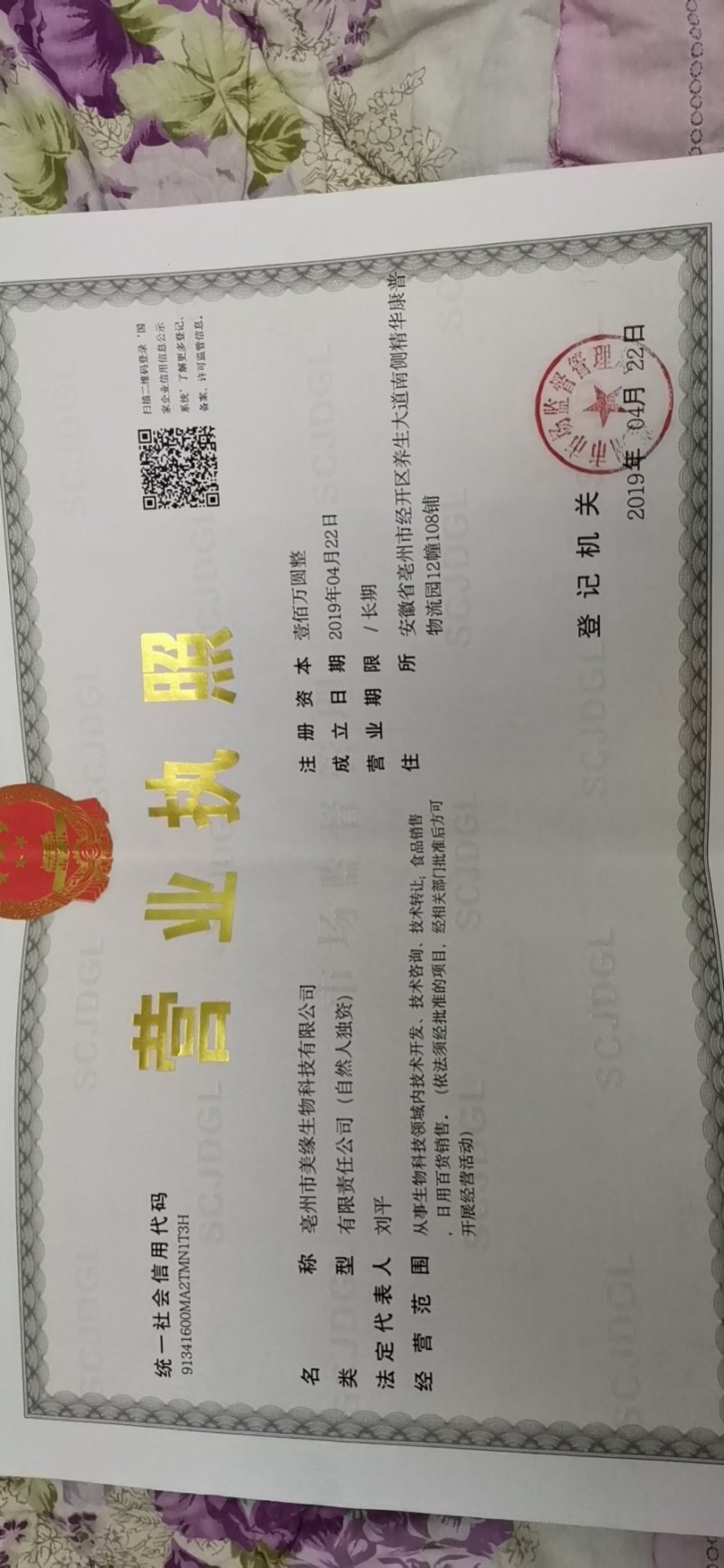 鹿鞭干整支鹿鞭干货泡酒材料煲汤60克左右一条