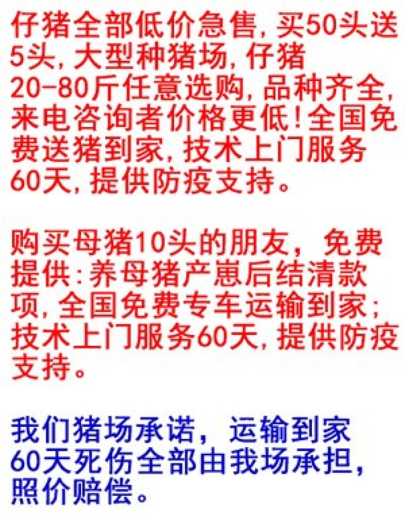 海南苏太母猪价格苏太母猪多少钱苏太母猪养猪场_