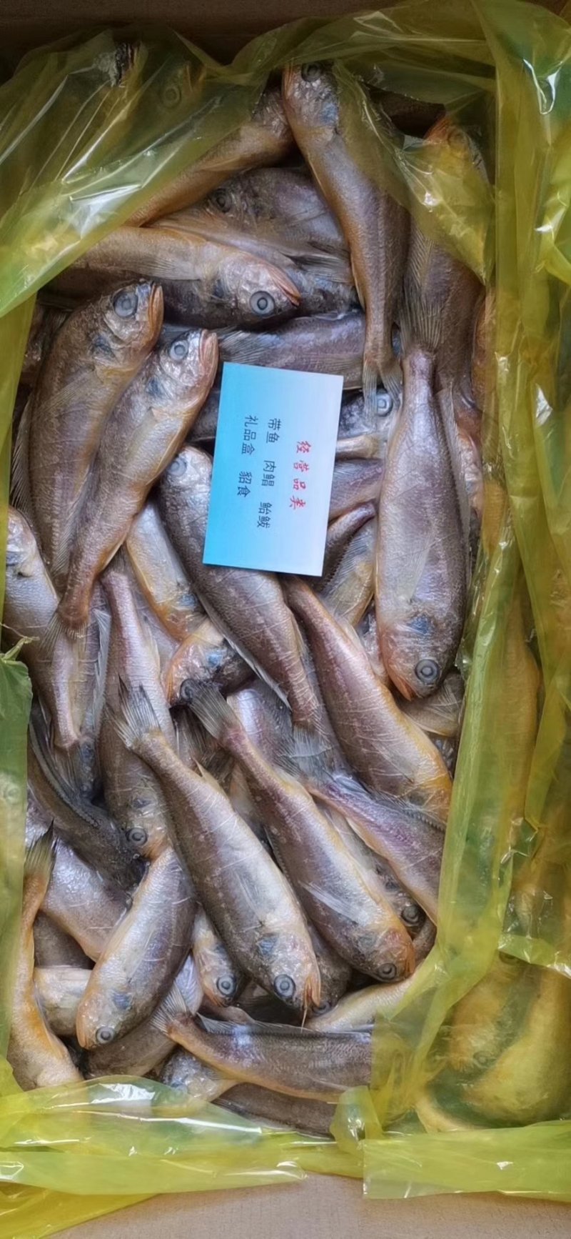 黄花鱼小黄鱼船冻板冻小黄鱼