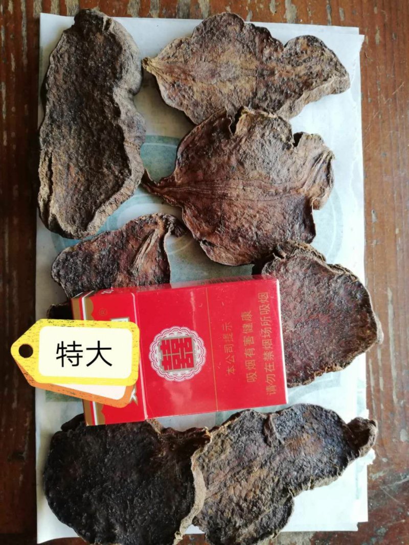 养生精制何首乌