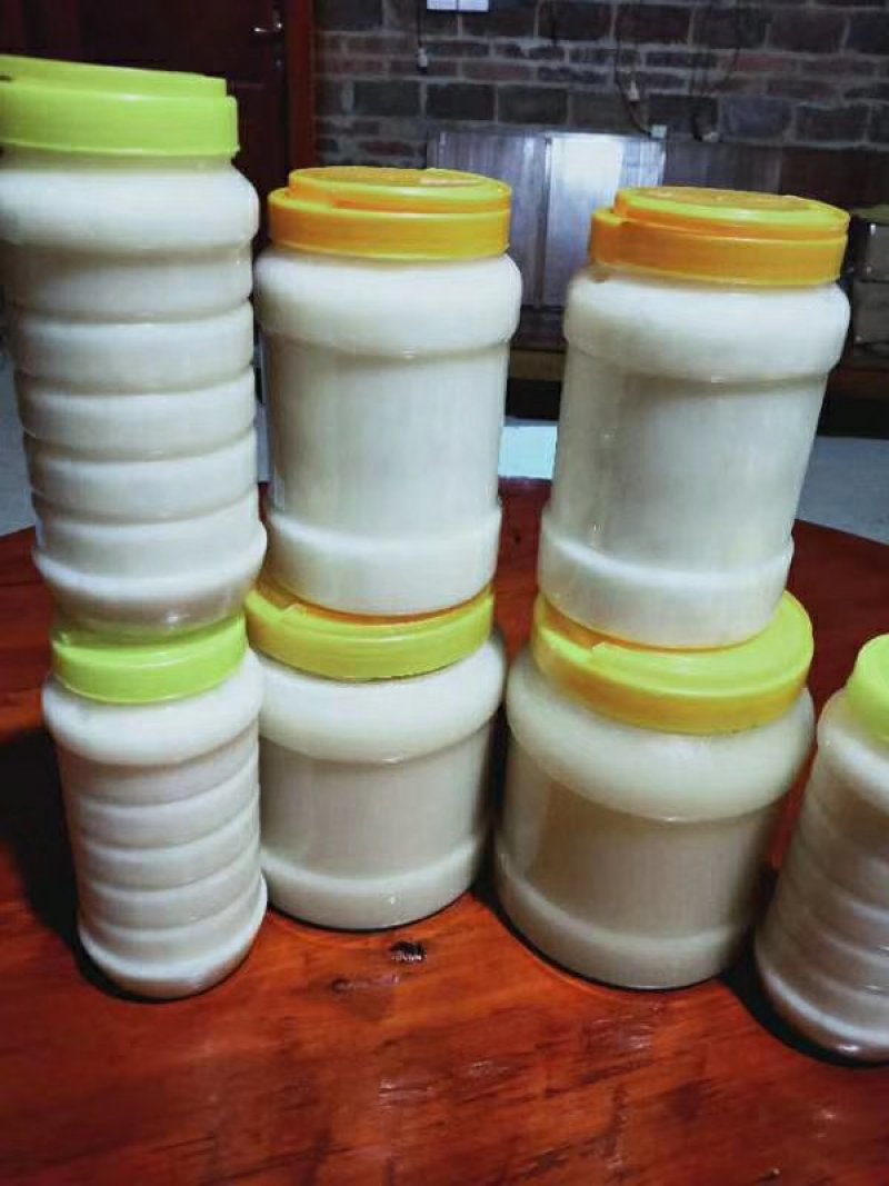 广西深山农家鸭脚木冬蜜纯正蜂蜜