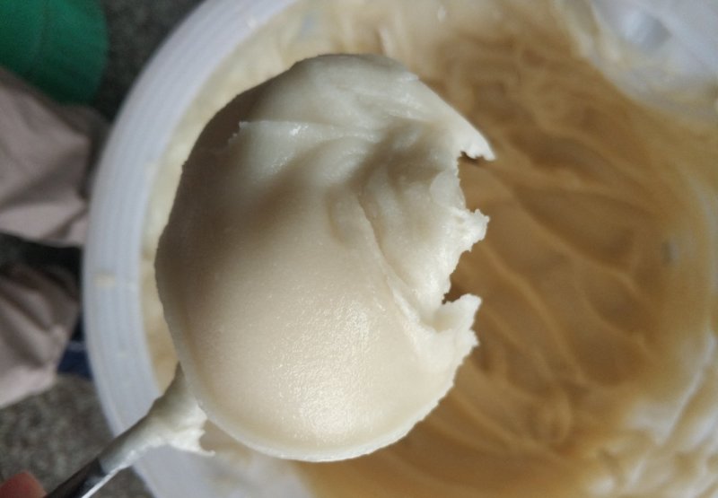 广西深山农家鸭脚木冬蜜纯正蜂蜜