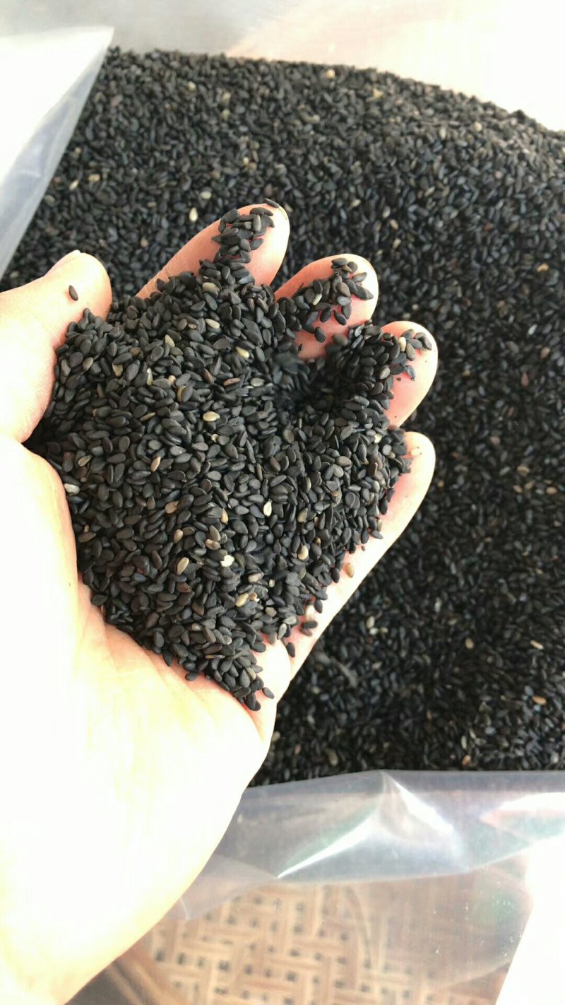 乡下山货乡下黑芝麻优质大粒