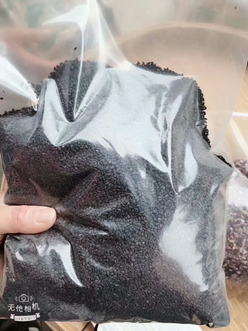 乡下山货乡下黑芝麻优质大粒