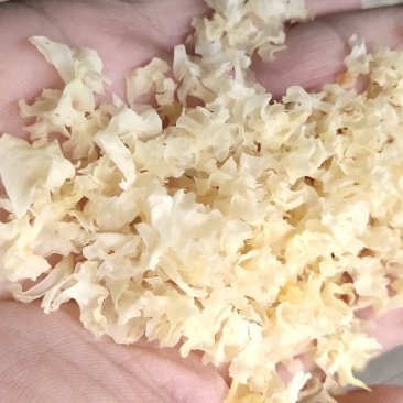 福建古田特产银耳碎片白木耳花片大小规格产地直销