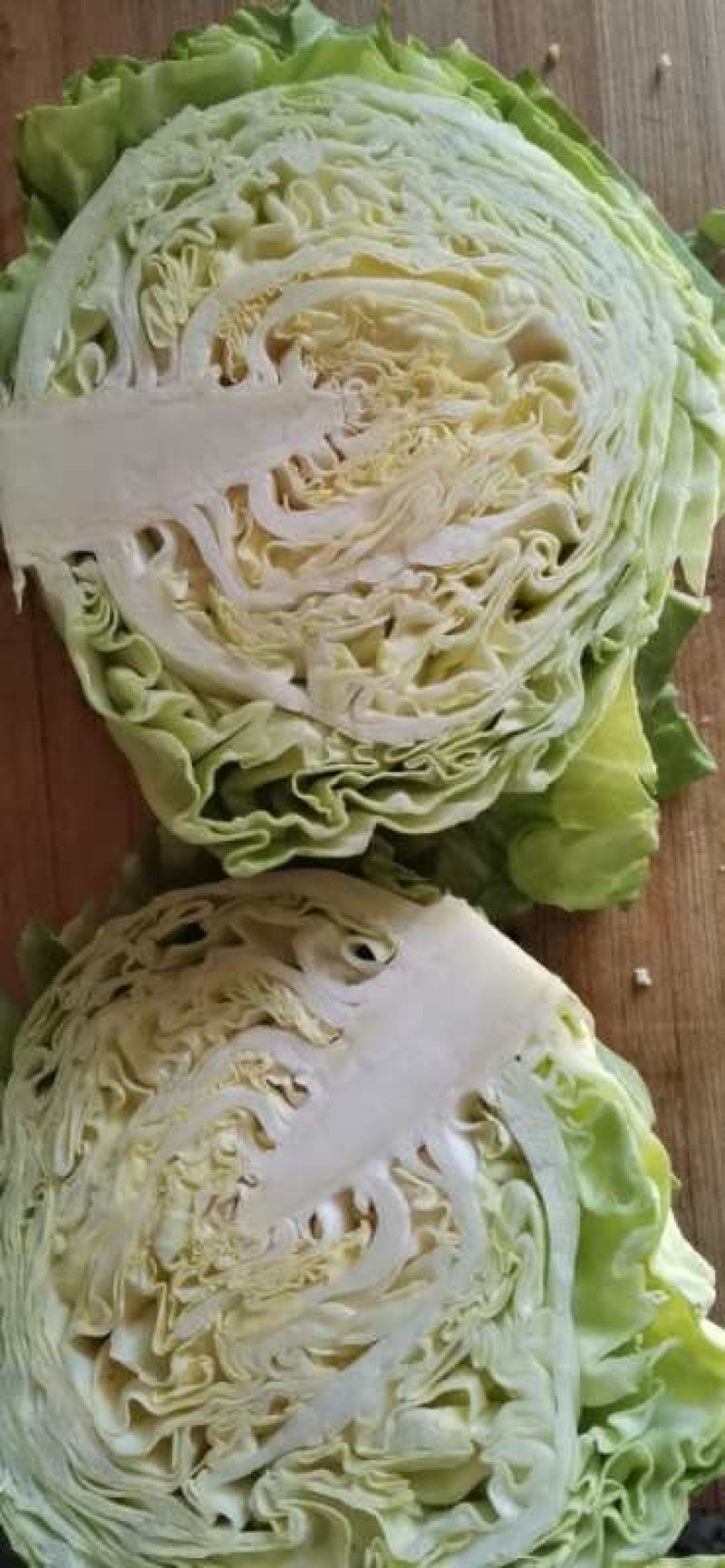 甘蓝，翠绿，宣菜，电商，超市，批发市场货都有！