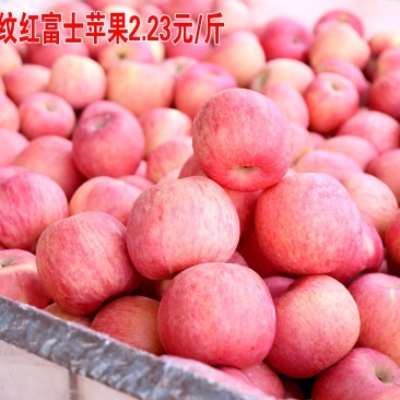 烟台栖霞红富士三级苹果代办卢，栖霞苹果，名不虚传
