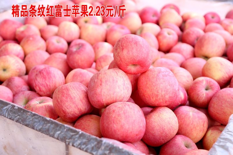 烟台栖霞红富士三级苹果代办卢，栖霞苹果，名不虚传