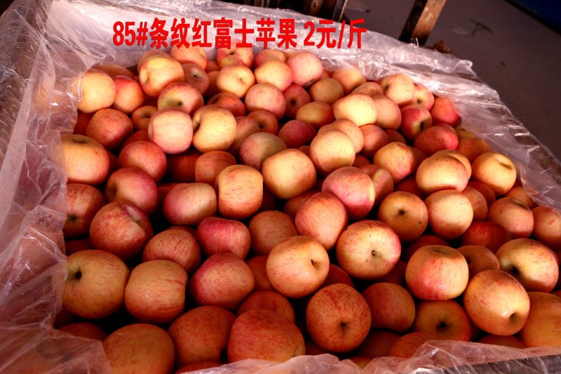 烟台栖霞红富士三级苹果代办卢，栖霞苹果，名不虚传
