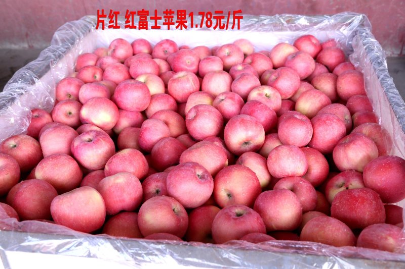 烟台栖霞红富士三级苹果代办卢，栖霞苹果，名不虚传