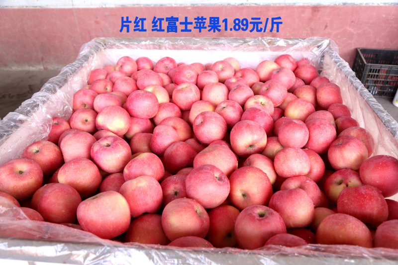 烟台栖霞红富士三级苹果代办卢，栖霞苹果，名不虚传
