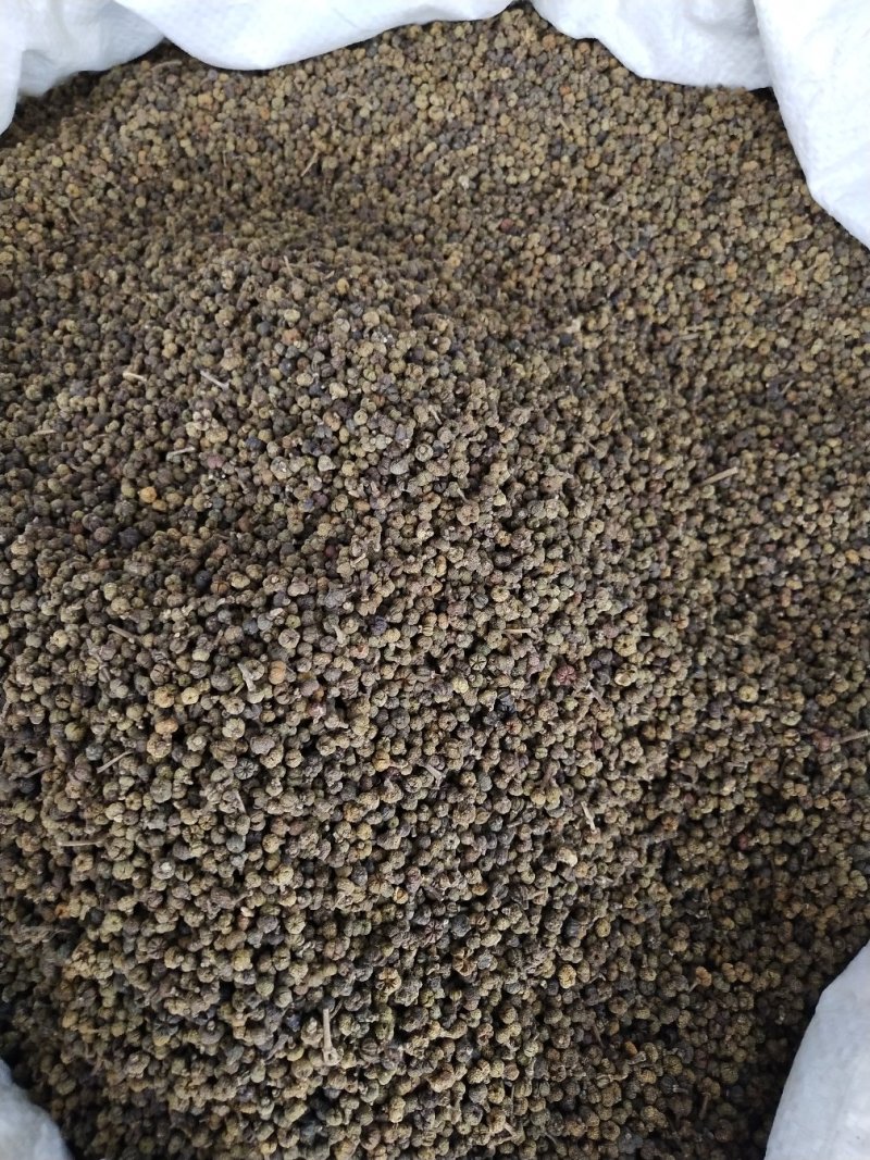中药材吴茱萸，茶辣、漆辣子，新货产地一手货源