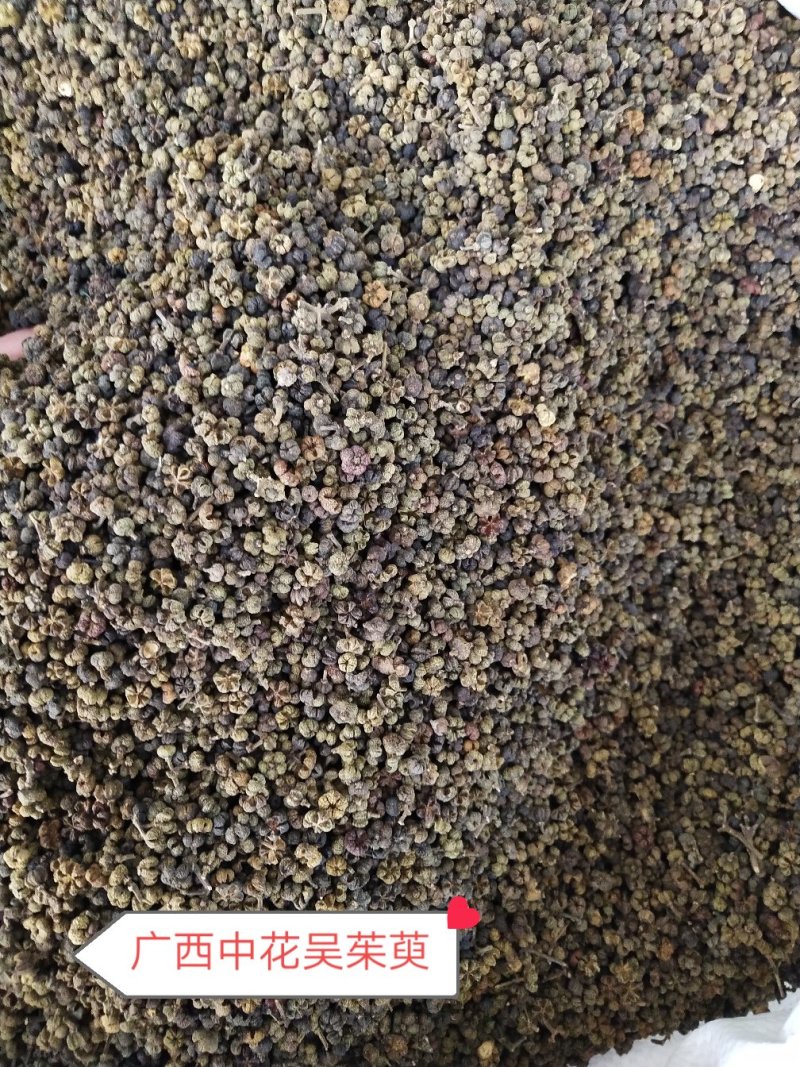 中药材吴茱萸，茶辣、漆辣子，新货产地一手货源